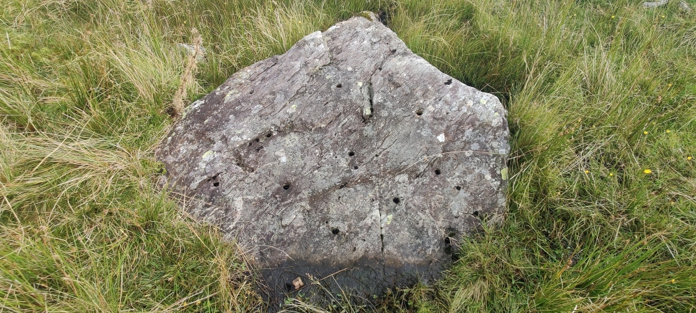 Rock cannon (Jones #189)